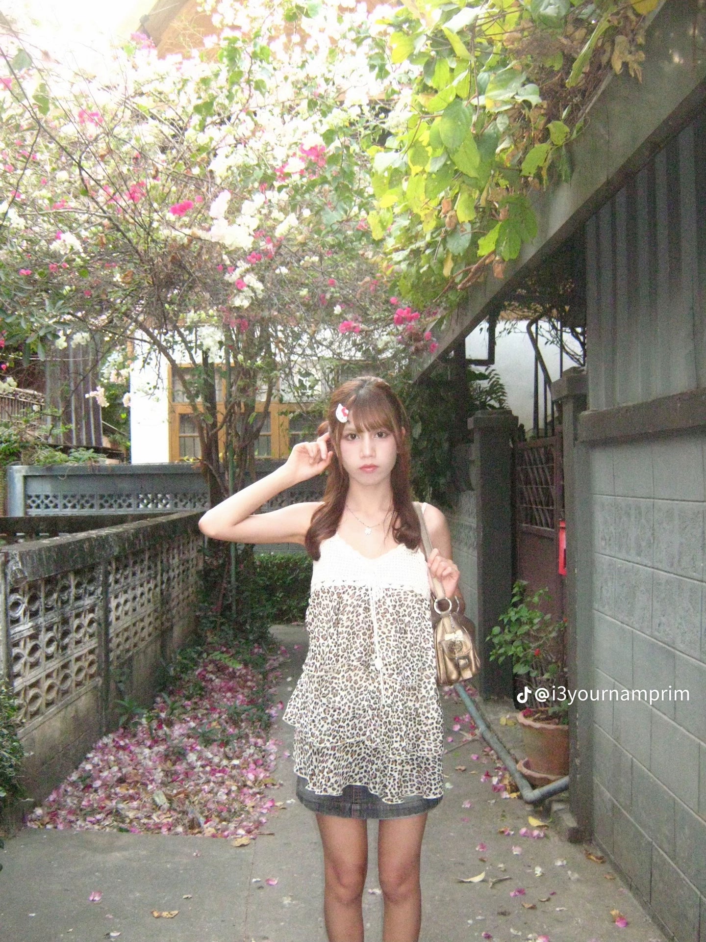 Canon PowerShot A470