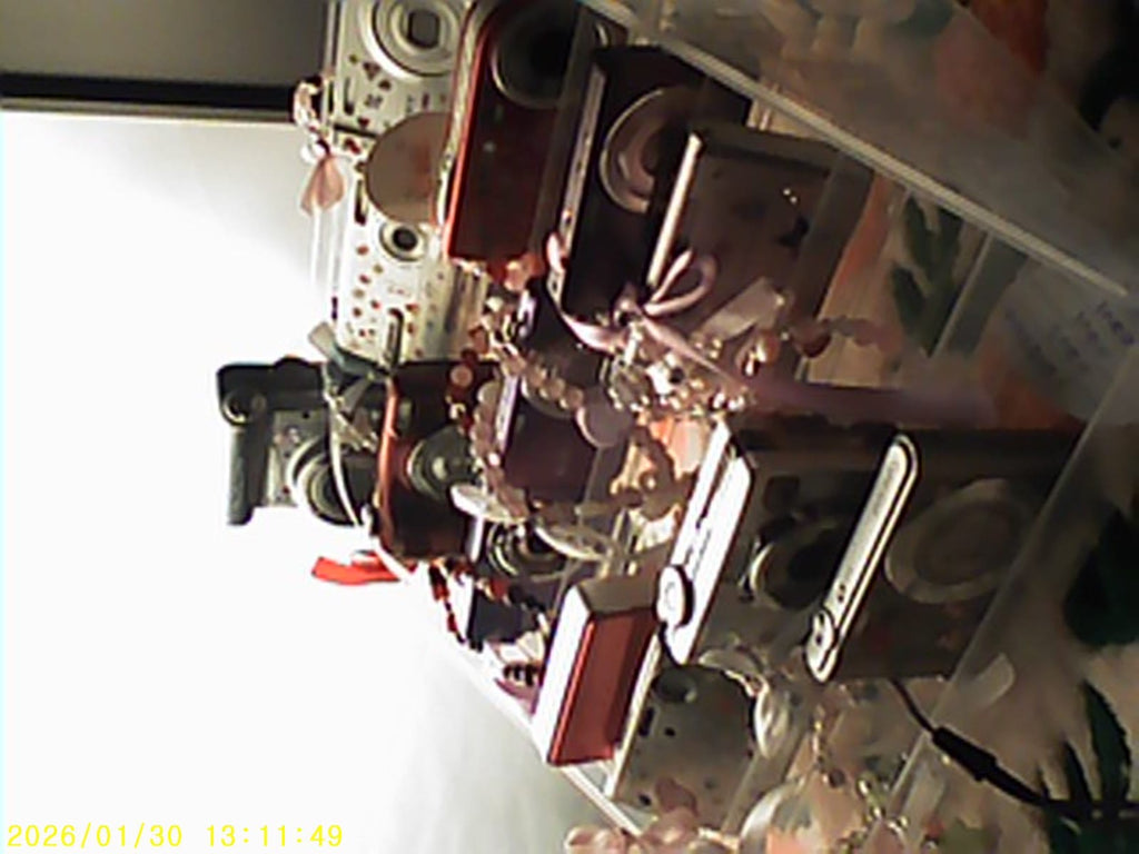 Pink Digicam