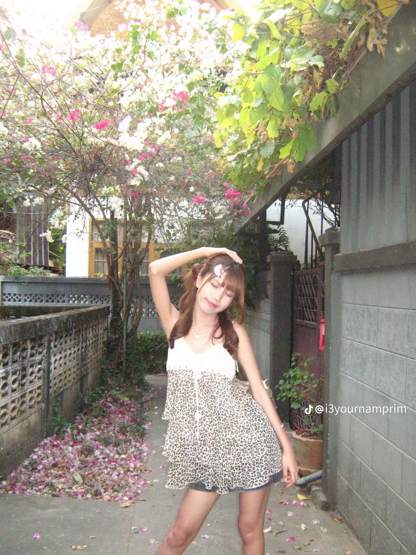 Canon PowerShot A470