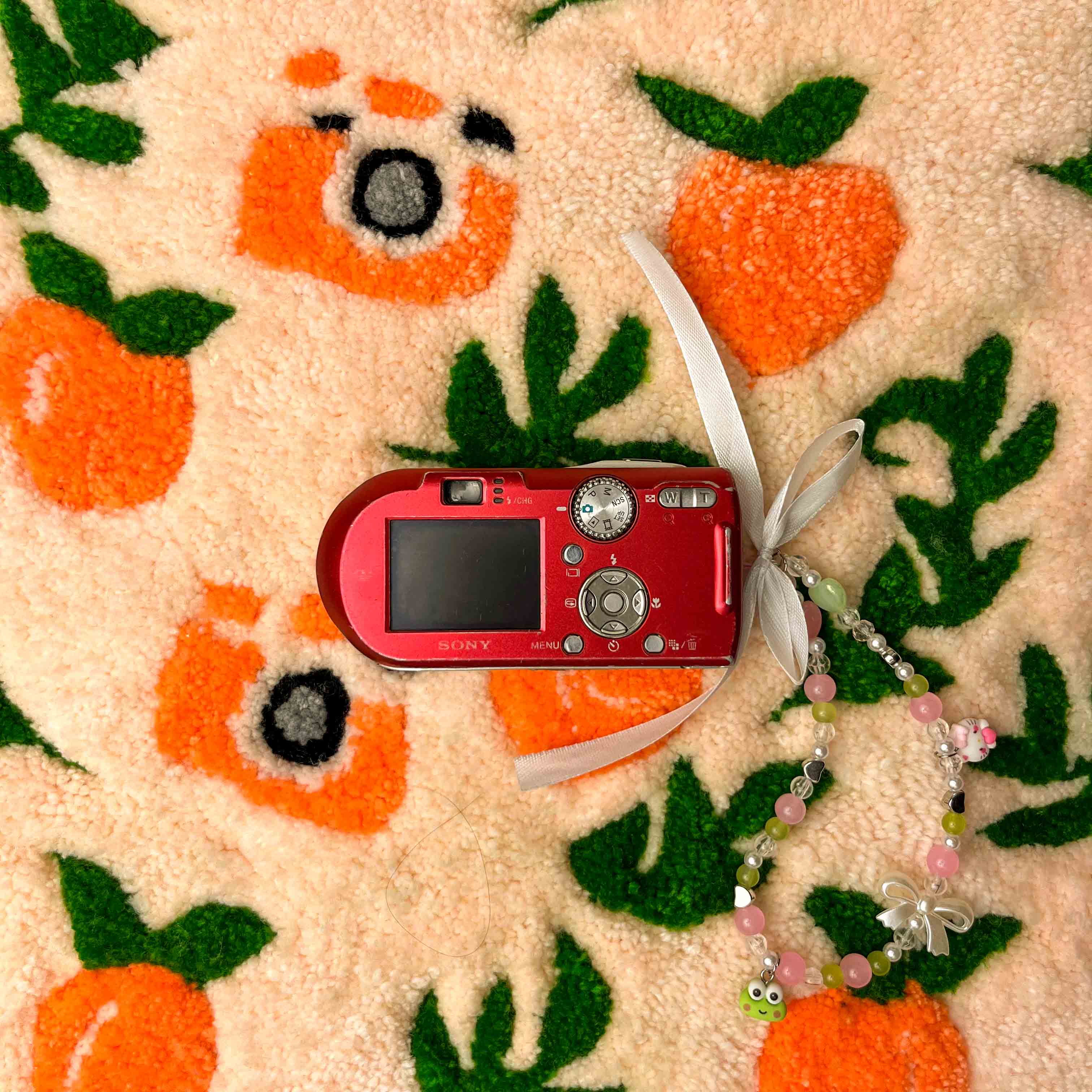 Sony Cyber-shot DSC-P100