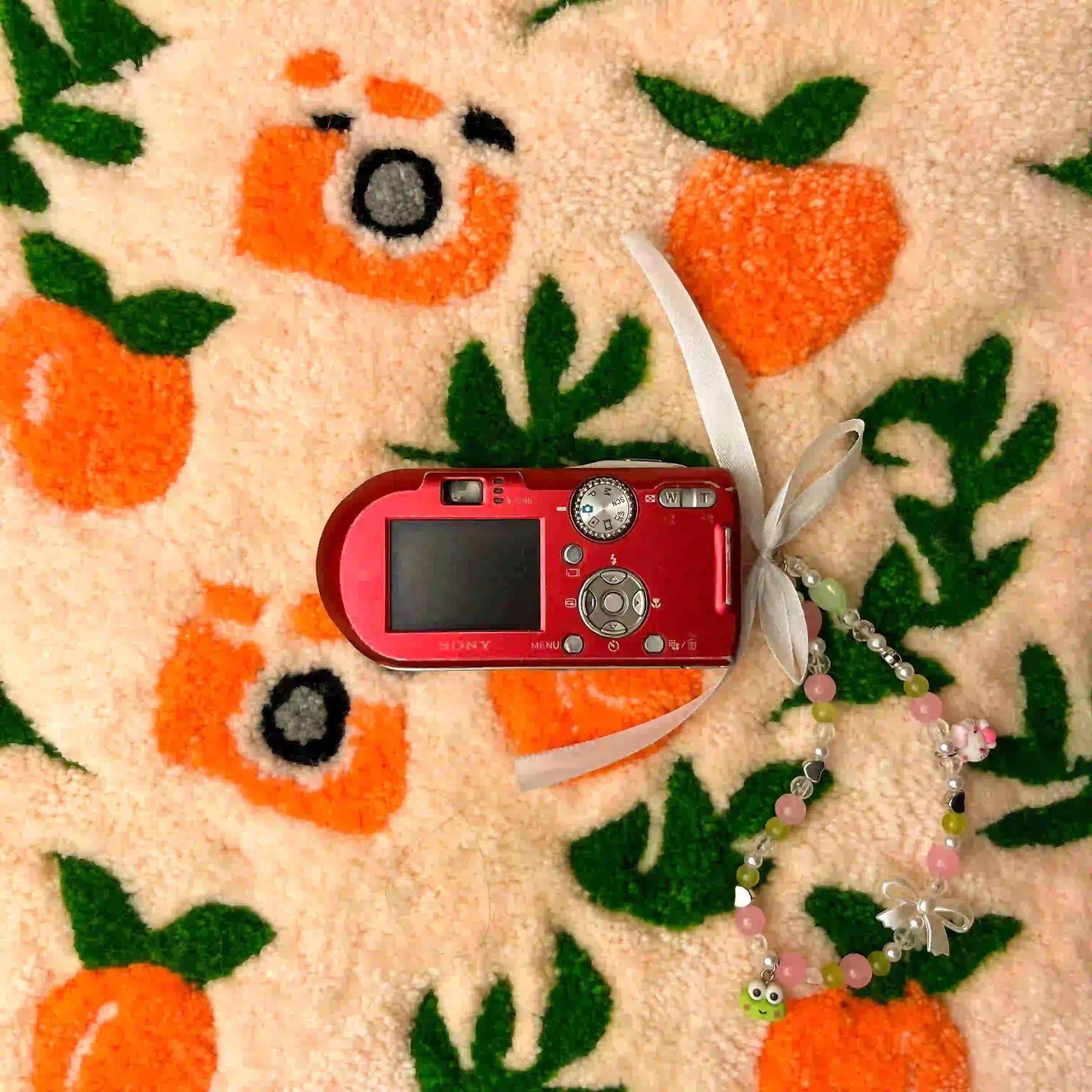 Sony Cyber-shot DSC-P100