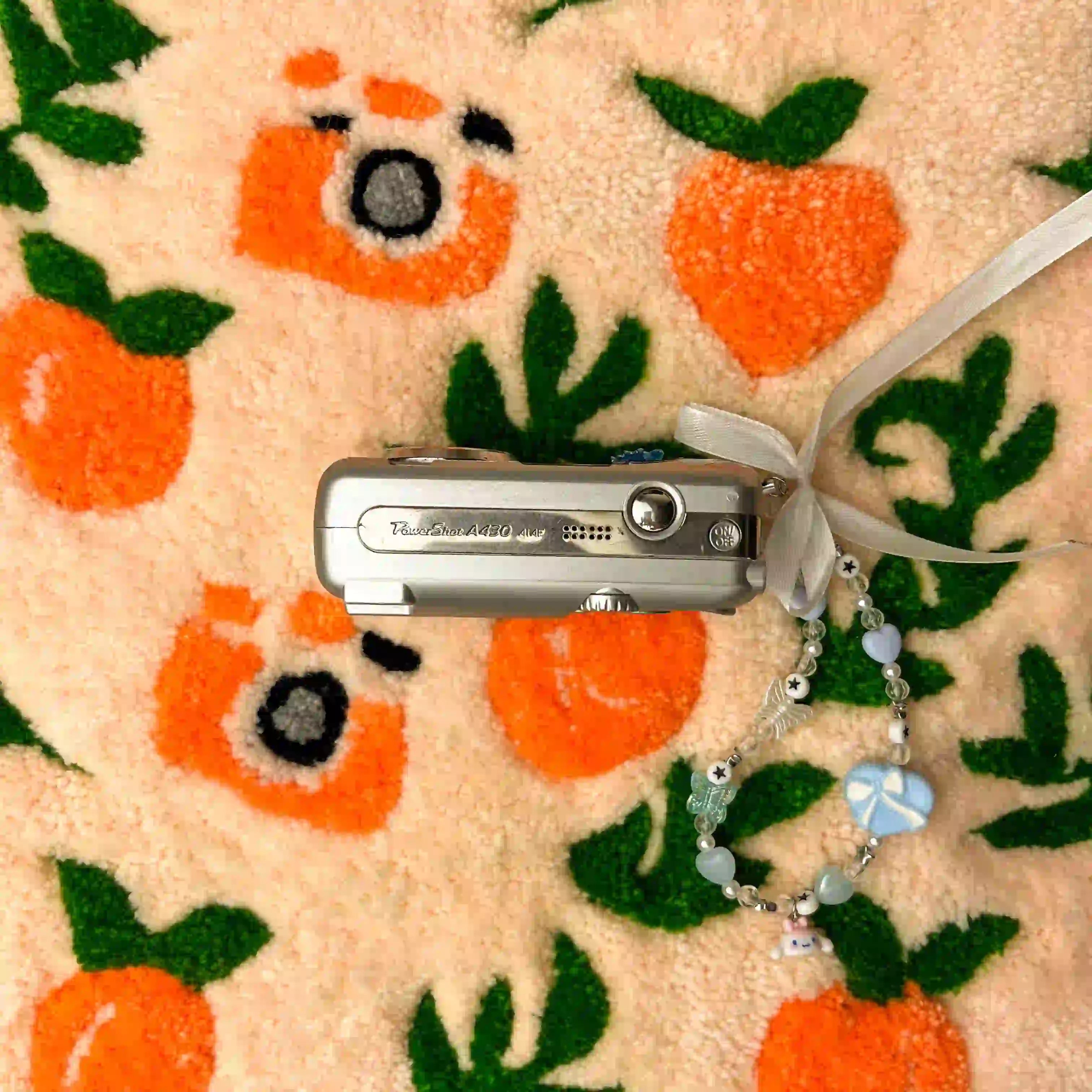Canon PowerShot A430 – PeachyCam
