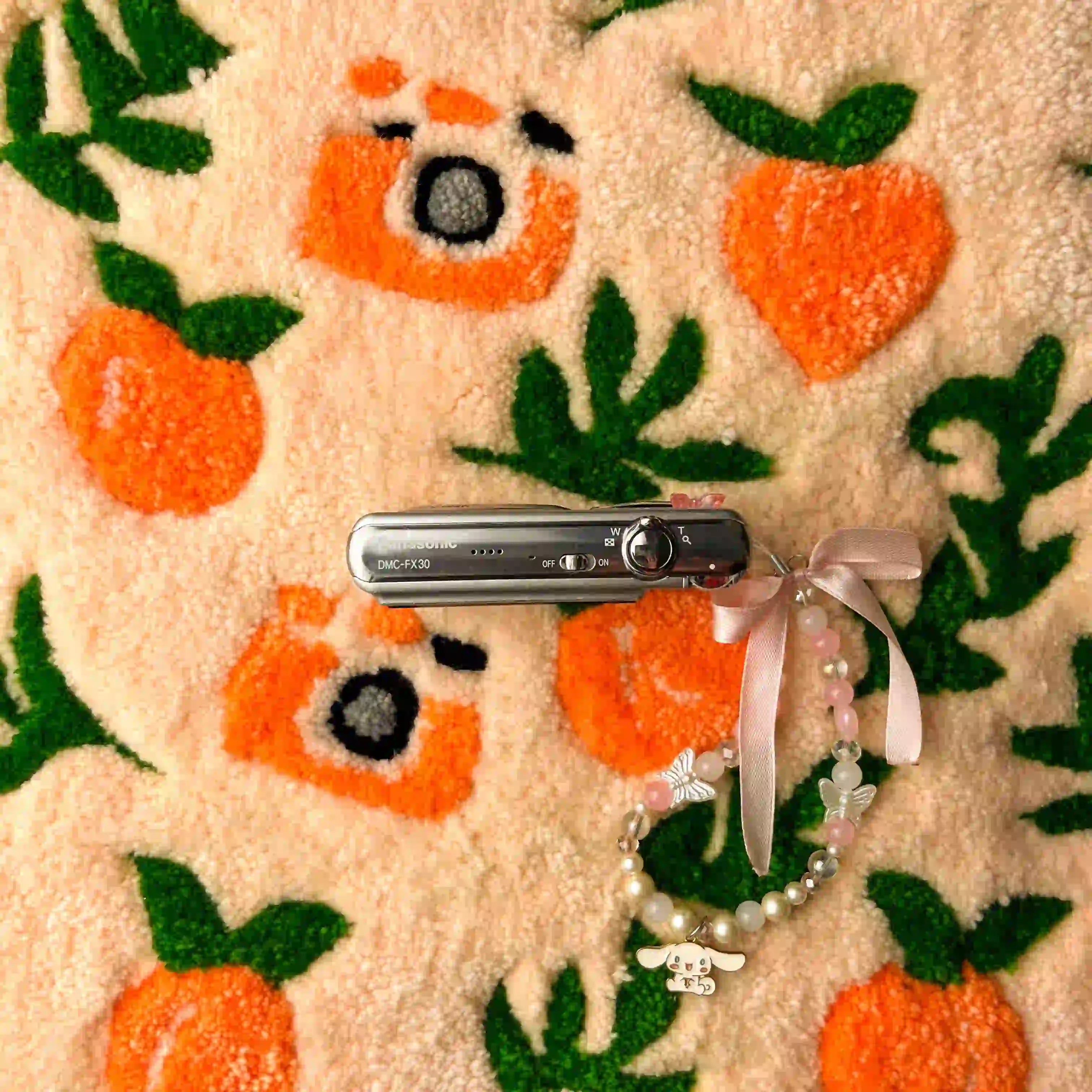 Panasonic Lumix DMC-FX30