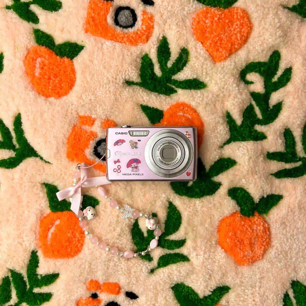 Casio Exilim EX-Z250
