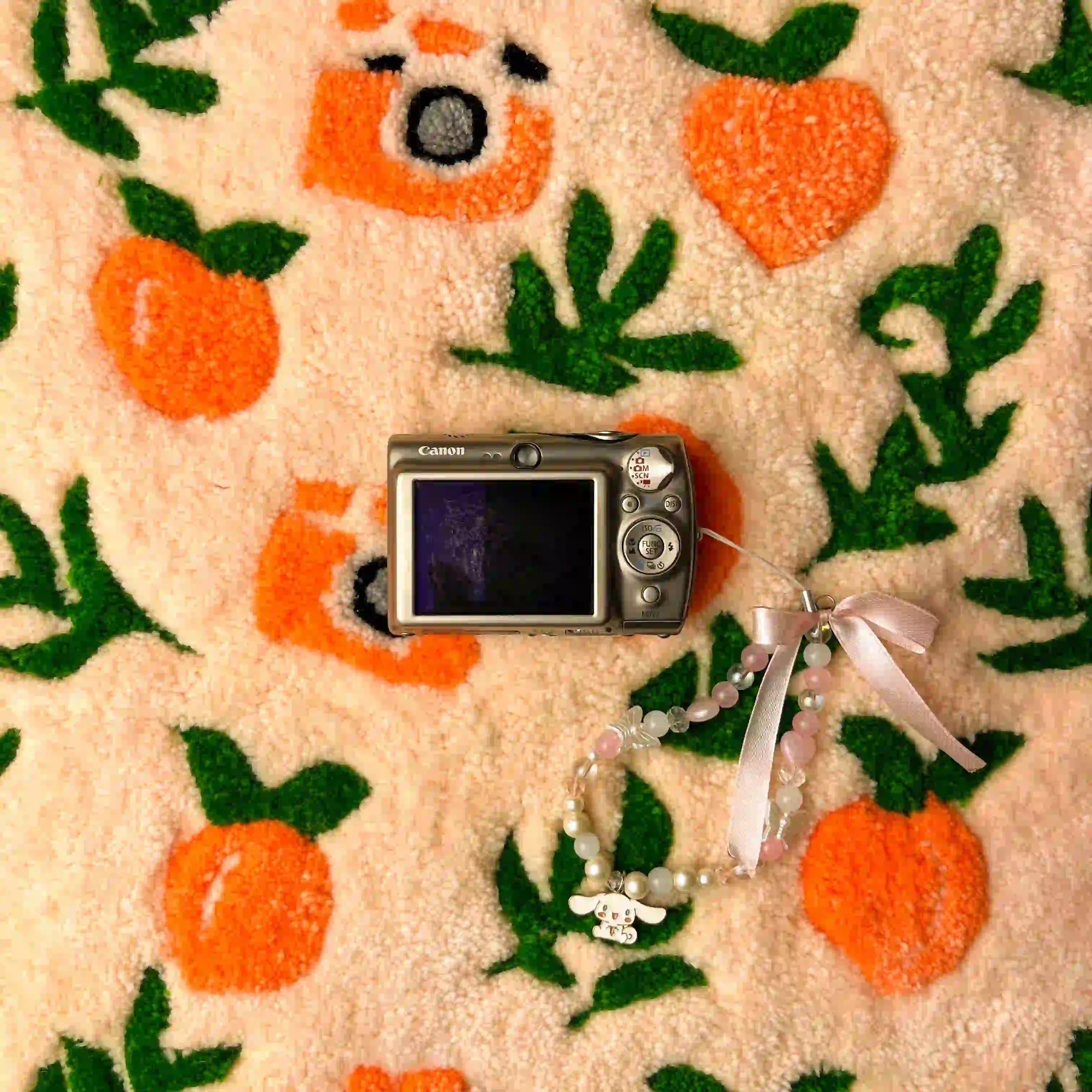 Canon PowerShot SD900 Digital ELPH