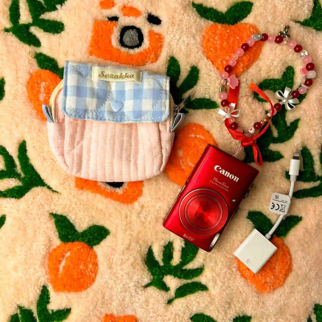 Digicam Pouch