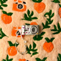 Panasonic Lumix DMC-FX12