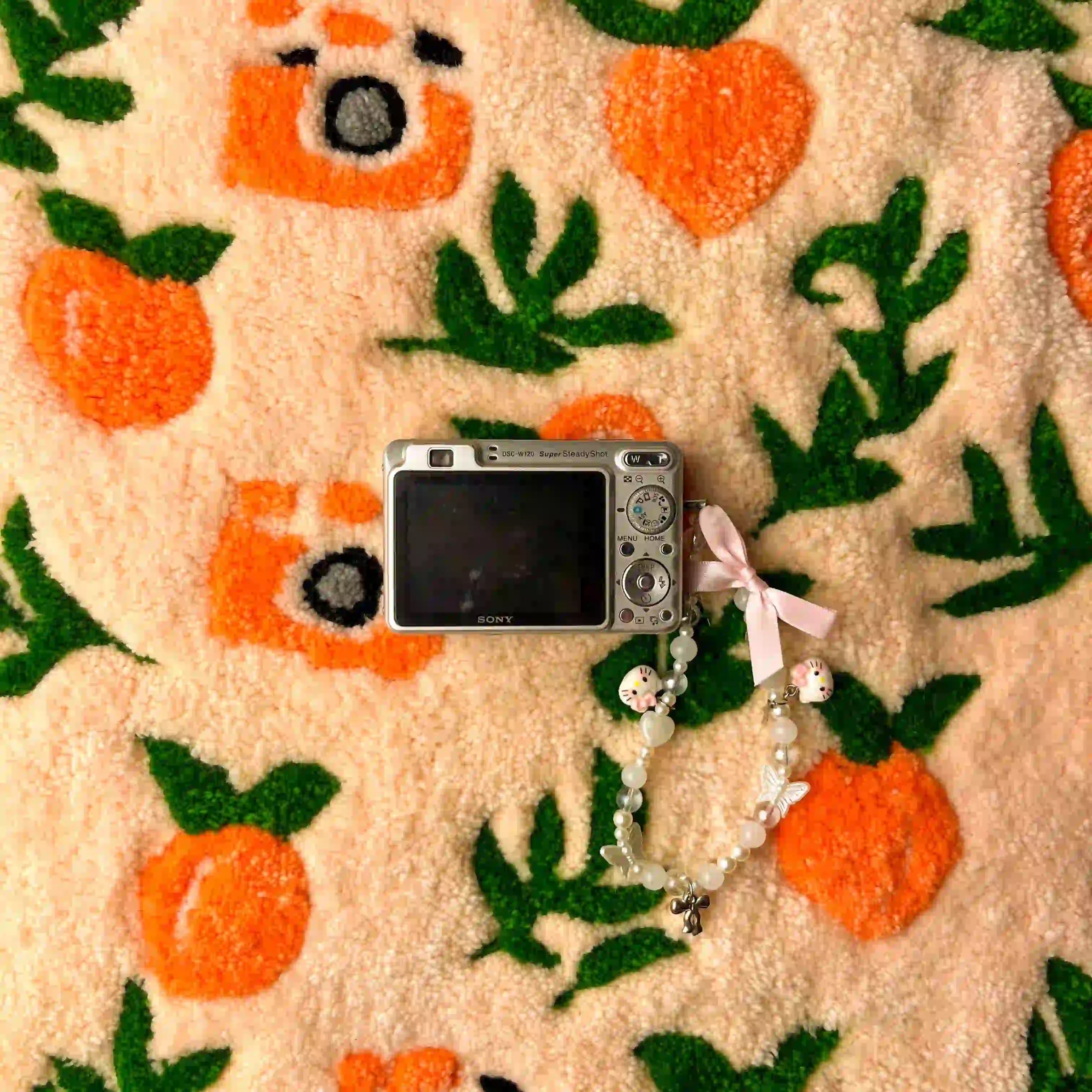 Sony Cyber-shot DSC-W120