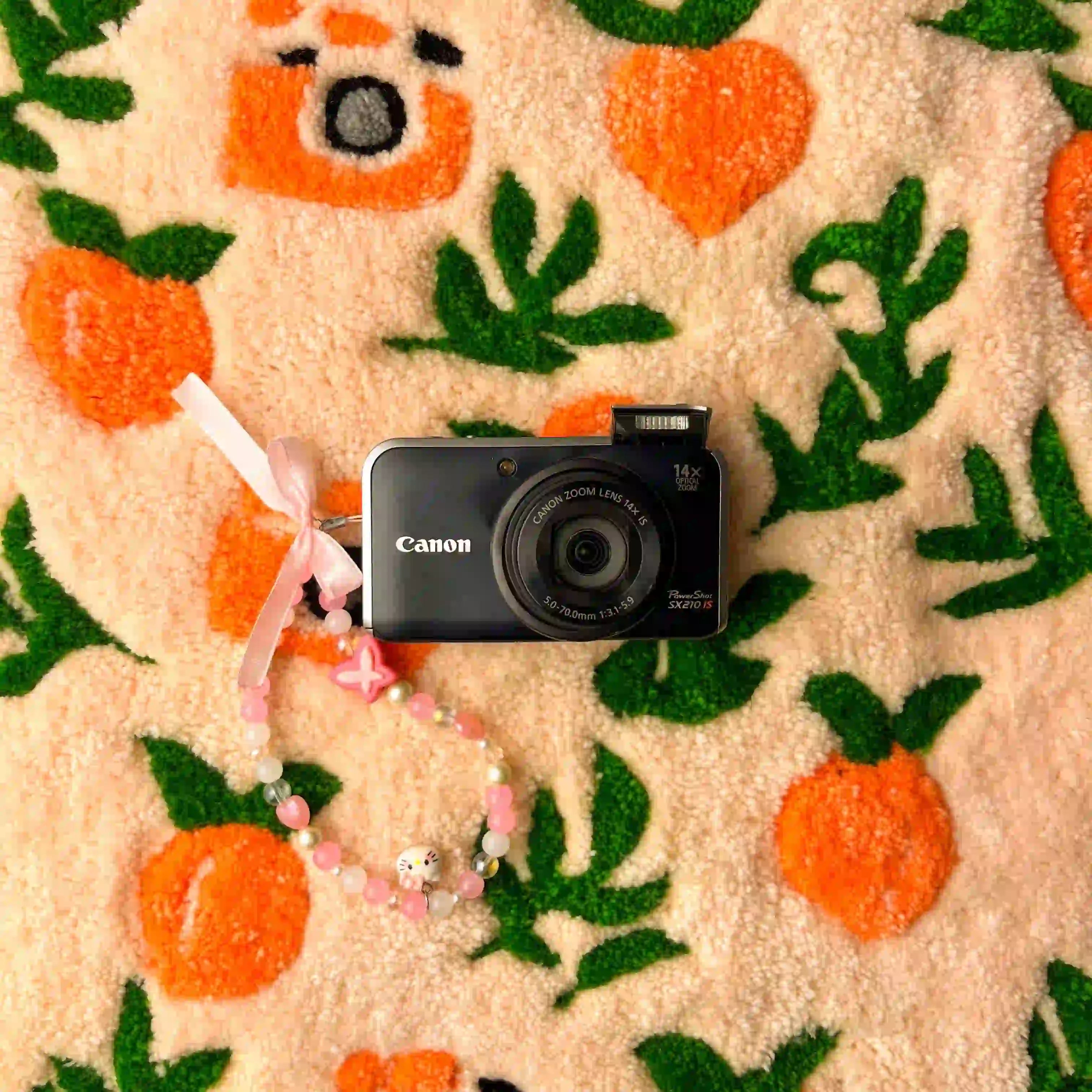 Canon PowerShot SX210 IS